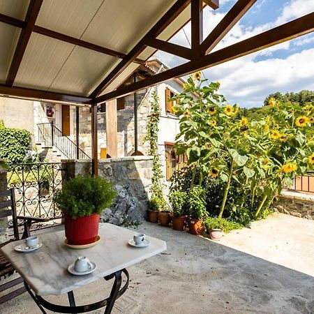 Stemnitsa Stone Residence - Cosy Mountain Escape Exterior photo